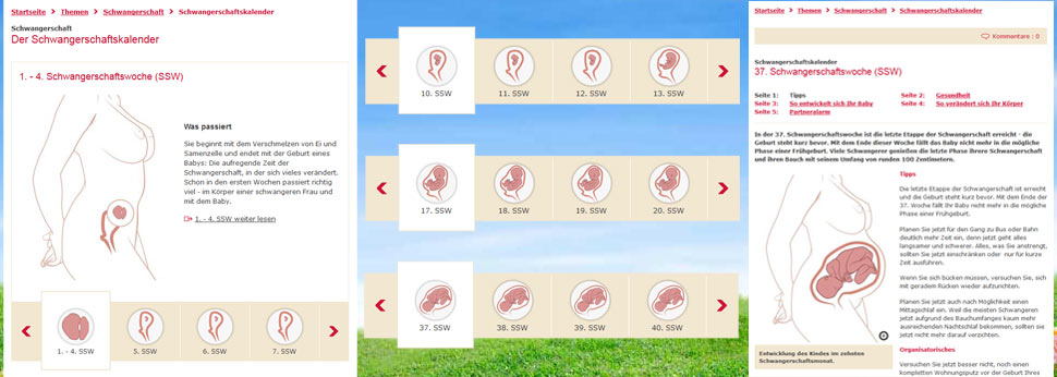 kinder.de - TYPO3 Anwendung Schwangerschaftskalender 40 Wochen